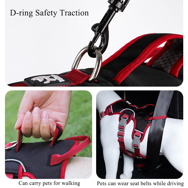 Pettorina per Cani Anti-Trazio - D Ring Strap recensione e prezzo